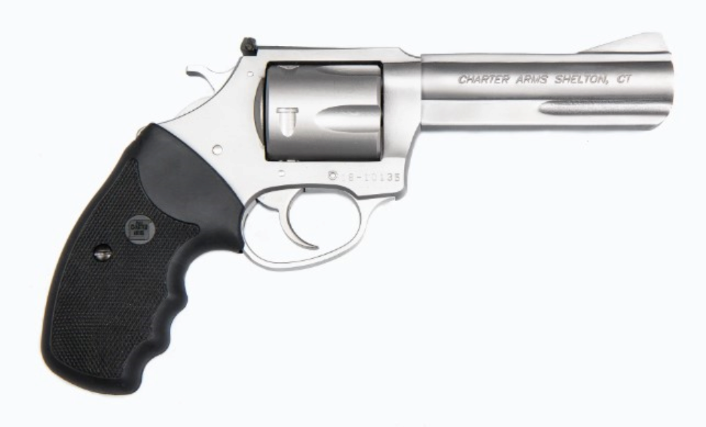 Charter Arms 74042 Pitbull  40 S&W 5 Shot 4.20 Matte Stainless St