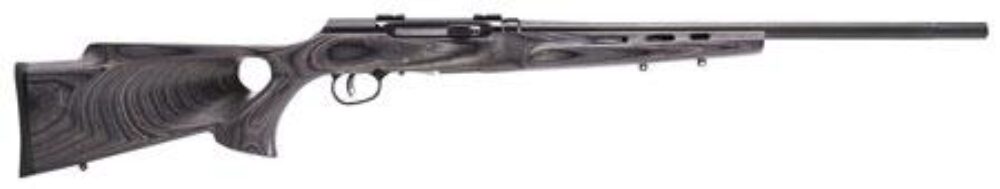 Savage Arms 47215 A22 Target Full Size Semi-Auto 22 LR 10+1 22 Ba