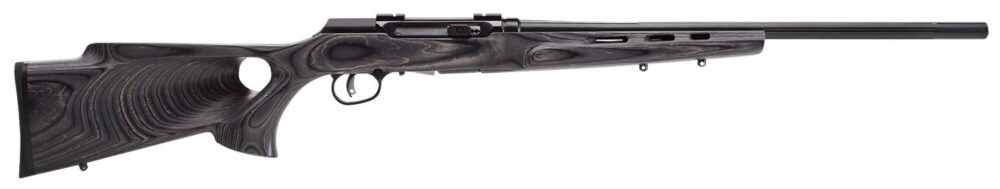 Savage Arms 47800 A17 Sporter Semi-Auto 17 WSM Caliber with 8+1 C