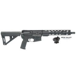 Radical RF-15 Braced Pistol w/Crimson Trace Red Dot, 10.5