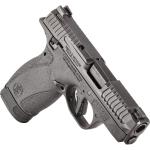 BODYGUARD 2.0 380ACP 12+1 TS 13926