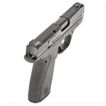 BODYGUARD 2.0 380ACP 12+1 NTS 13927