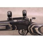 Thompson Center / Smith & Wesson Encore - 204 Ruger - 20" - Burris Scope Rings