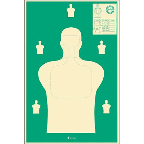 Georgia Public Safety Training Center Target (500 CASE)