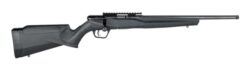 Savage Arms B22 22LR 16.25