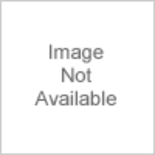 Real Avid AVBMSET45 Bore-Max Speed Clean Upgrade Set 45 Cal Pistol