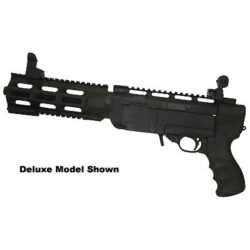 ARCHANGEL1022ARSPISTOLPKGBLK