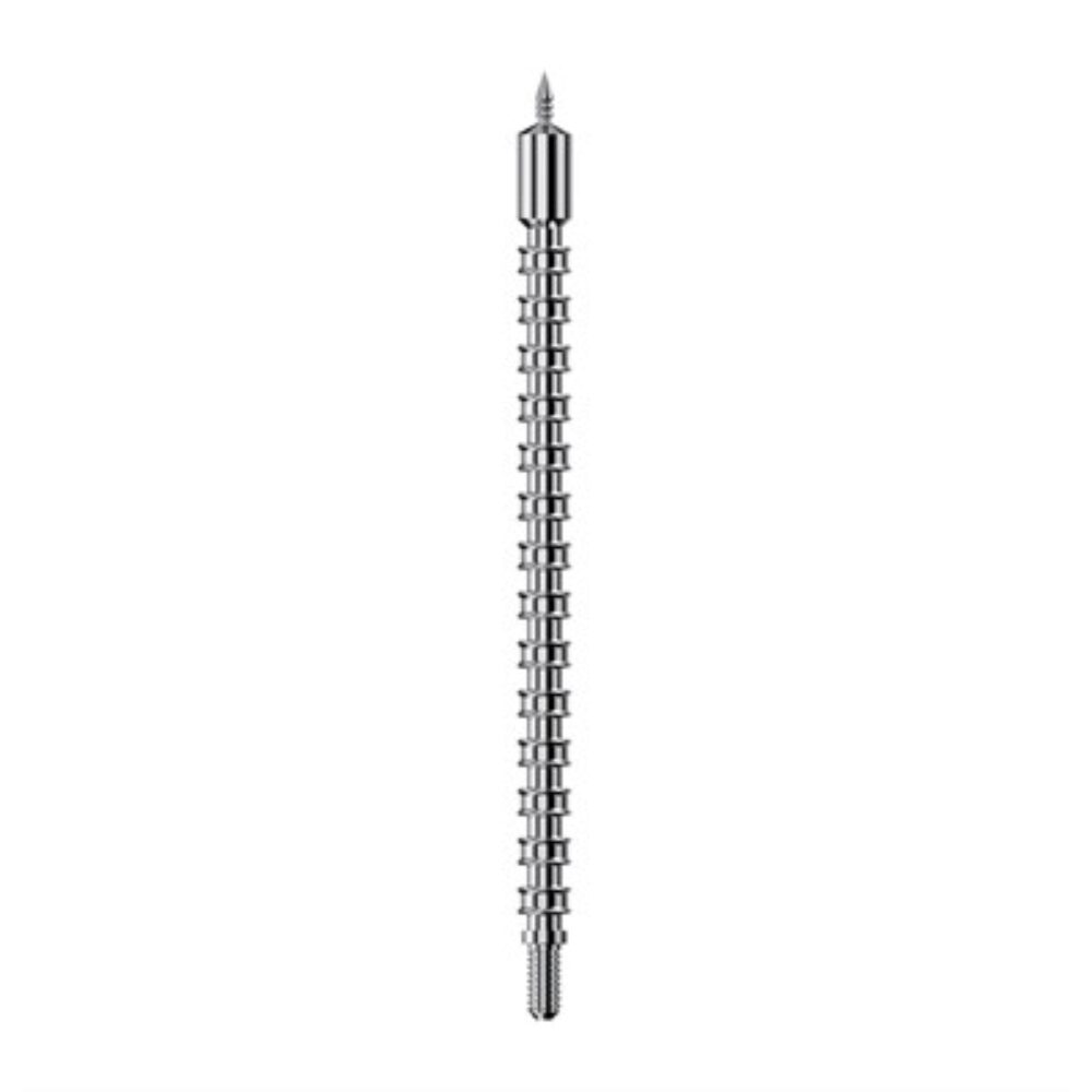 Real Avid AVBMJAG65MM Bore-Max Speed Jag 6.5mm/260 Cal Rifle Firearm 8-32 Thread Nickel-Plated Includes 25 Speed Patches Real Avid AVBMJAG65MM Bore-Max Speed Jag 6.5mm/260 Cal Rifle Firearm 8-32 Thread Nickel-Plated Includes 25 Speed Patches