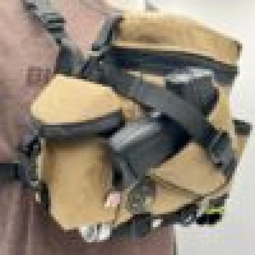 Raptor Original Bino/Pistol Chest Pack