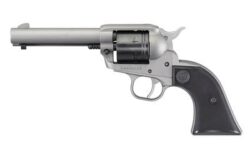 RUGER WRANGLER BH 22LR 3.75 6RD SLV