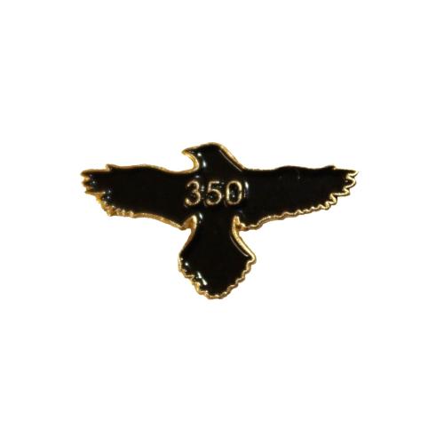 Gunsite Class Pins