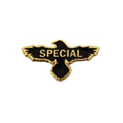Gunsite Class Pins