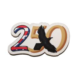 250/50th PVC Patch - Color