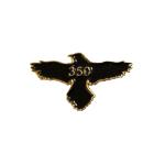 Gunsite Class Pins