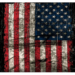 AR-15 Mag Skin (Vertical American Flag)