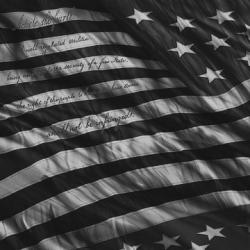 GUNSKINS AR-15 MAG 3 PACK Proveil Victory Grey