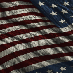 GUNSKINS AR-15 MAG 3 PACK PROVEIL VICTORY