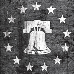 GUNSKINS AR-15 RIFLE WE THE PEOPLE