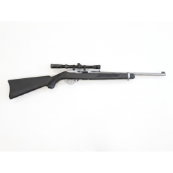 Ruger 10/22 .22 LR Semi-Auto Rifle