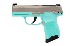 SIG SAUER P365 STAINLESS / TURQUOISE .380 ACP 3.1