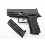 SIG SAUER P250 9MM 2 MAG