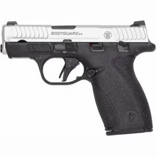 Bodyguard 2.0 Stainless