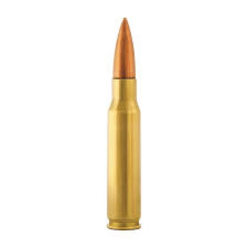 Ruger Precision Rifle 308 WIN
