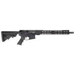 ACME RIFLES AM-15 22 LR 16