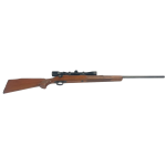 Remington 700 30-06