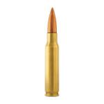 Ruger Precision Rifle 308 WIN