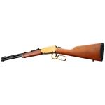 BRAZ RIO 22LR 18" GOLD/HW 15RD