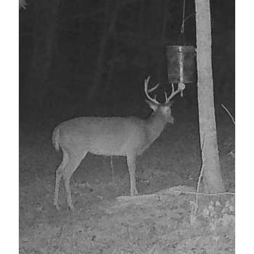 Mod 2 Ball Licker - Gravity Fed Deer Feeder