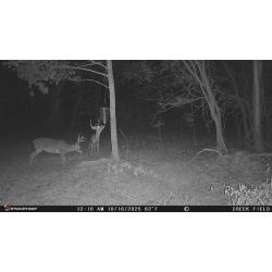 Mod 2 Ball Licker - Gravity Fed Deer Feeder