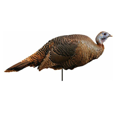 MONTANA DECOY TURKEY SPRING