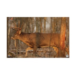 BC EZE-SCORER DEER 23X35