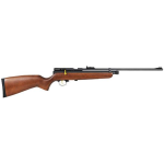 Beeman SAG .22cal CO2 Powered Single Shot Pellet Air Rifle
