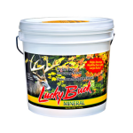 Lucky Buck 20LB Pail