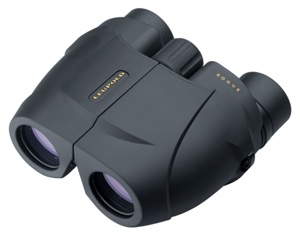 COMPACT MODEL|BLACK