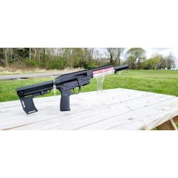PATRIOT ORDNANCE FACTORY (POF) REBEL .22 LR 8? BARREL 10-ROUNDS BLADE BRACE POF01664