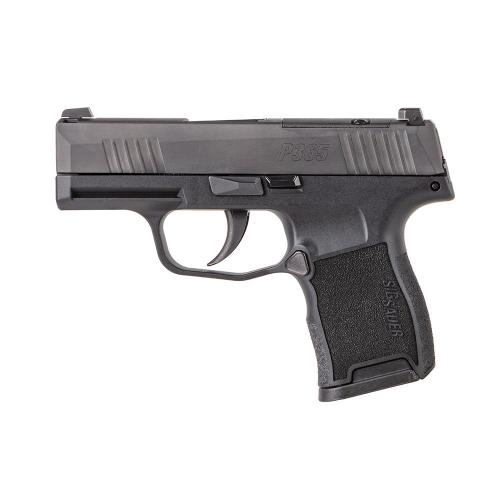 P365 380ACP BLK 10+1 NS SFTY