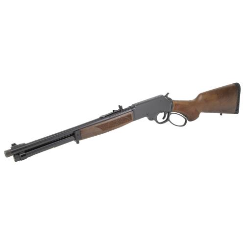 Henry H10 Protector 45-70