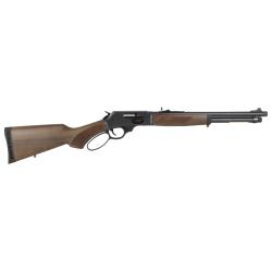 Henry H10 Protector 45-70