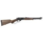 Henry H10 Protector 45-70