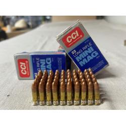 22 LONG RIFLE MINI MAG BOX OF 50
