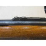 Remington Woodsmaster 742 .308 Semi-Auto Rifle