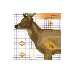 CHAMPION X-RAY TARGET DEER 25