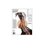 CHAMPION LIFE SIZE TURKEY TRGT PAPER 12-PK