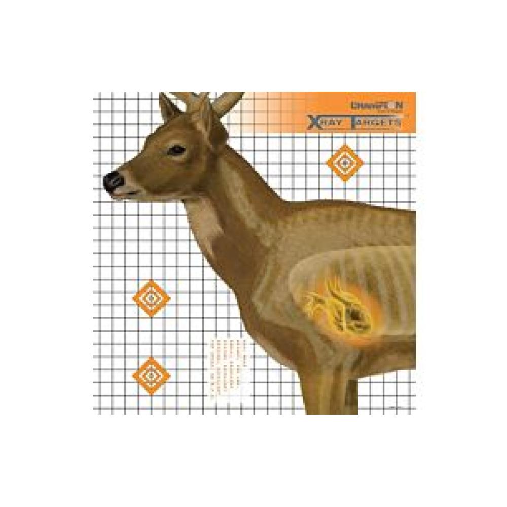 CHAMPION X-RAY TARGET DEER 25"X25" 6-PACK