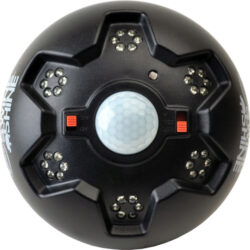 AMERICAN HUNTER HOG LIGHT