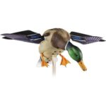 AVIAN X POWERFLIGHT SPINNING